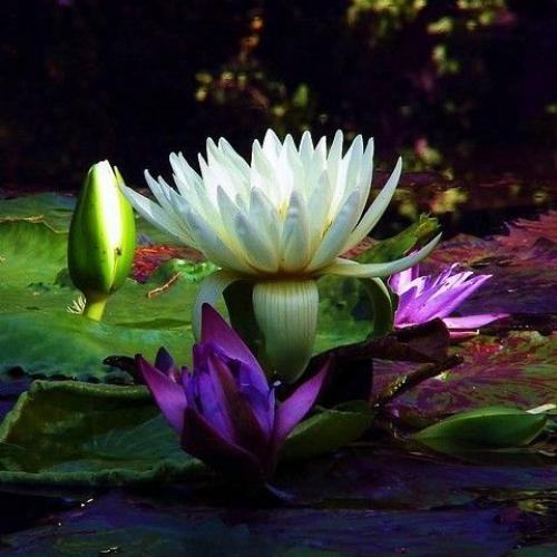 333 способа пополнения женской энергии. 04 333 способа пополнения женской энергии. 04