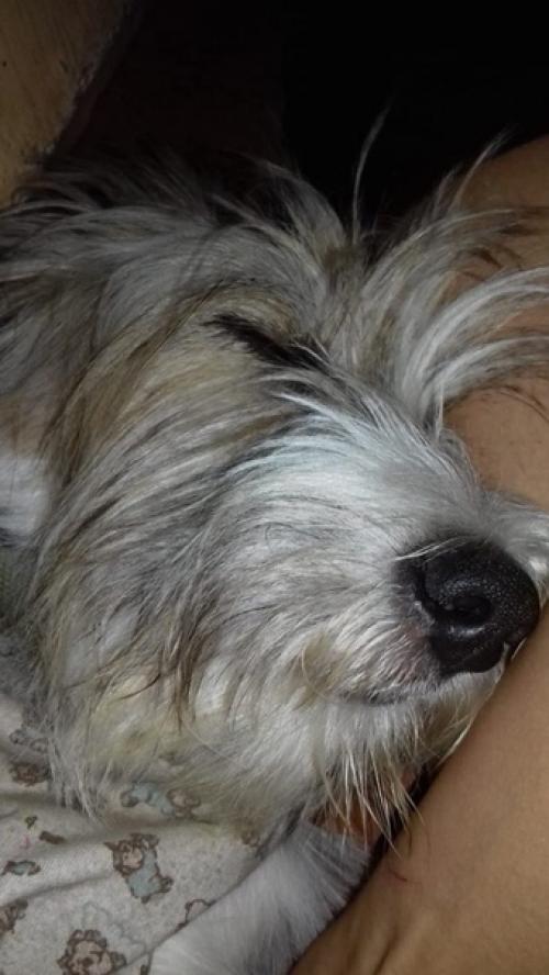 А давайте новостя о нашей джеське расскажу? 03 А давайте новостя о нашей джеське расскажу? 03