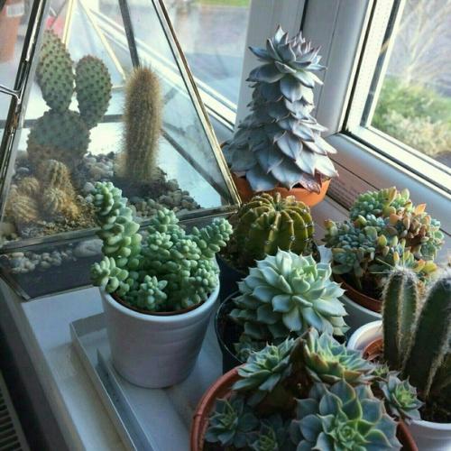 КАК Хорошо Выглядеть. 01 КАК Хорошо Выглядеть. 01