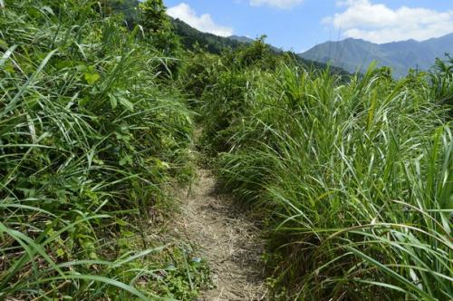 Шифу Дает Второй Урок. 04 Шифу Дает Второй Урок. 04