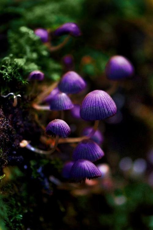 333 способа пополнения женской энергии. 03 333 способа пополнения женской энергии. 03