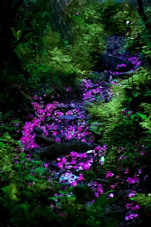 333 способа пополнения женской энергии. 05 333 способа пополнения женской энергии. 05