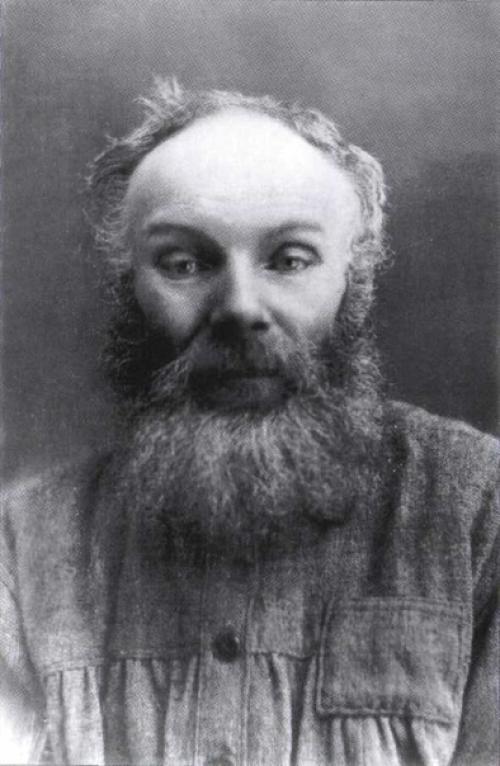 Толстой и ясногорский район лев. 01