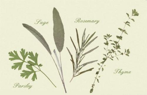 Начну с того, что мне очень нравятся всякие внесетовые фишечки от Марко на концертах? 04