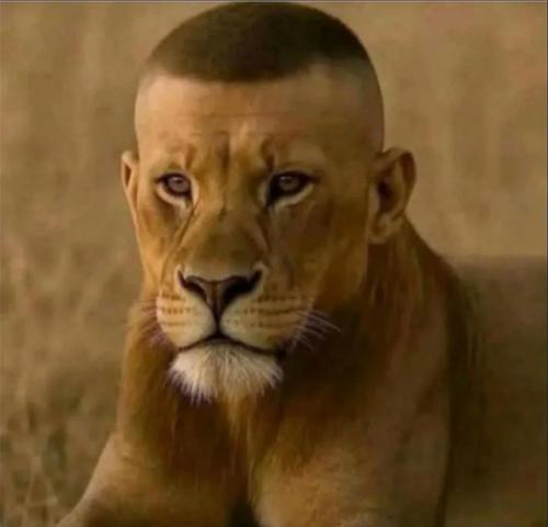 Прическа - это один из самых лучших способов показать себя, как ухоженного человека или испортить свой образ. 01