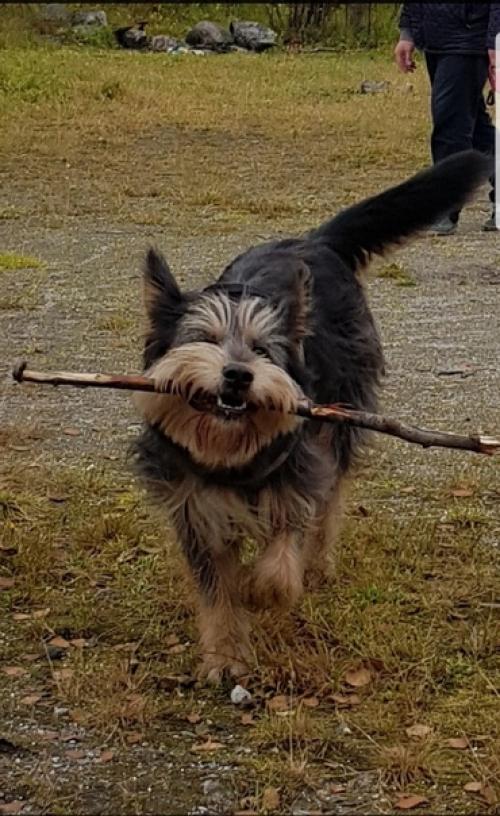 Домашний фотоприветик от коко. 03