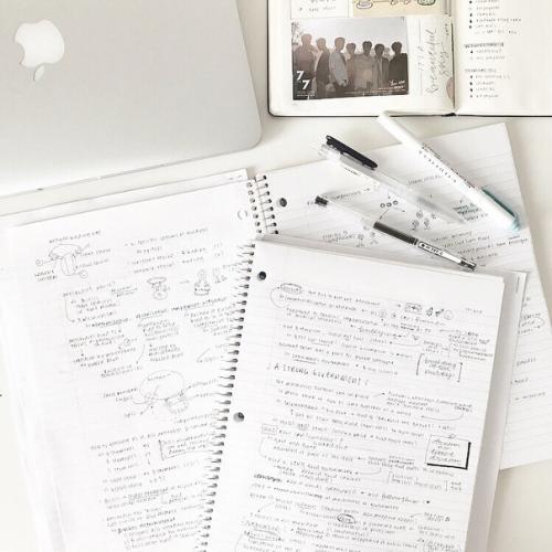 Красота_ сдд.  Как хорошо получаться на ФОТО. 01