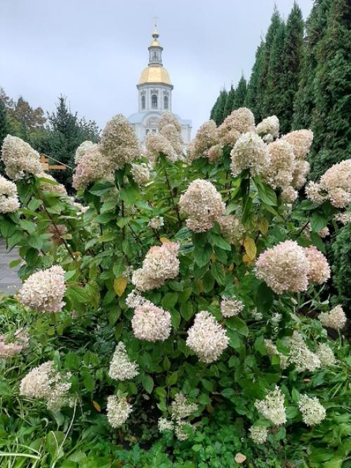 Дивеевский монастырь, раньше для меня - место силы, благости, душевного покоя. 07