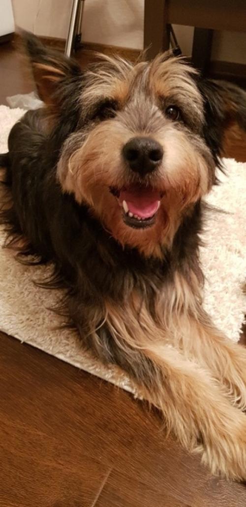 Домашний фотоприветик от коко. 01