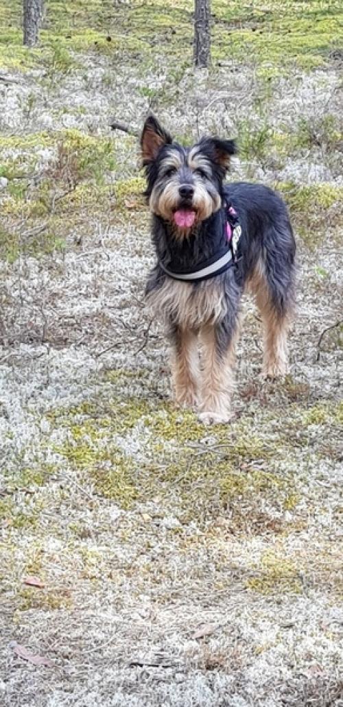 Домашний фотоприветик от коко. 02