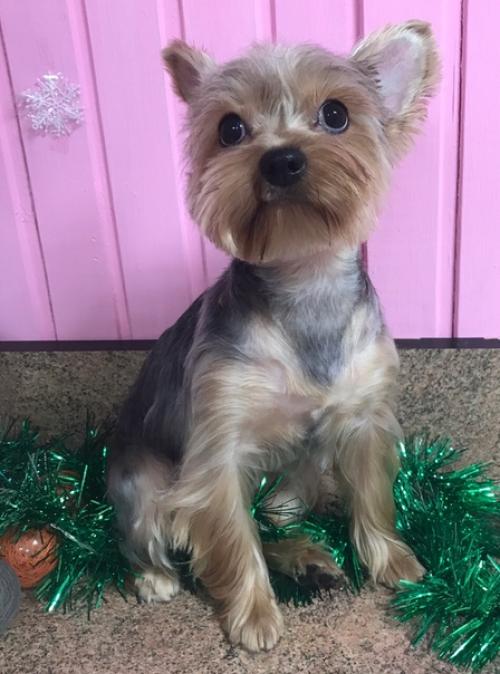 Обворожительная анабель заходила навести красоту. 02