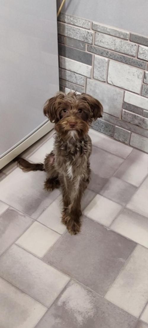 Предлагается. Королевская особа дворянских кровей. 03