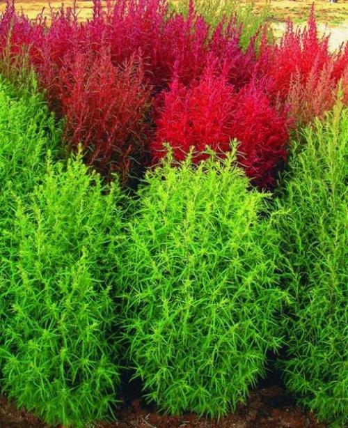 Уход_за_садом@Cvetochniyvodopad. 01 Уход_за_садом@Cvetochniyvodopad. 01