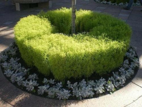 Уход_за_садом@Cvetochniyvodopad. 03 Уход_за_садом@Cvetochniyvodopad. 03