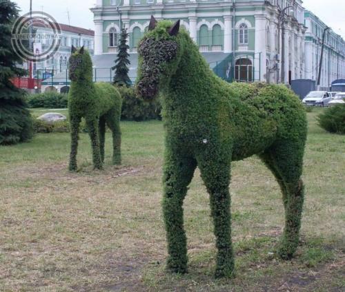 Что такое топиари. 08 Что такое топиари. 08