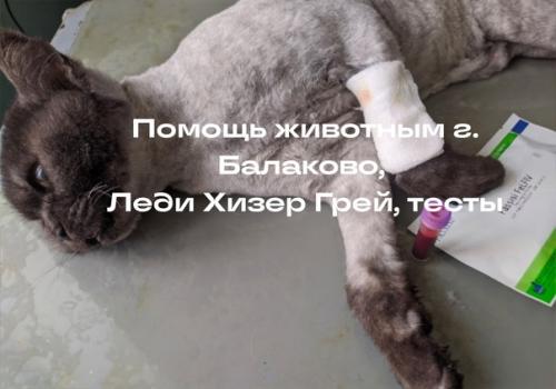 Eva Green. Добрый день всем! 02