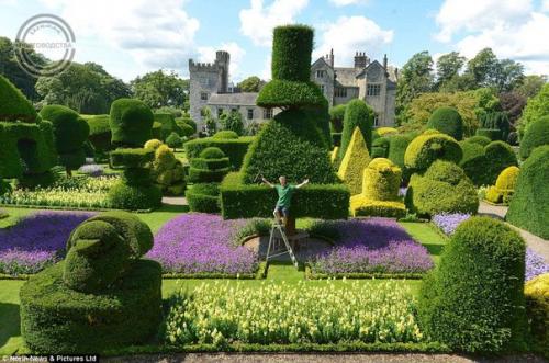 Что такое топиари. 01 Что такое топиари. 01