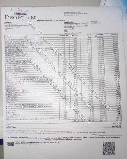 Финансовый сбор!   Кот гном в приют в апреле прошлого года поступил. 04 Финансовый сбор!   Кот гном в приют в апреле прошлого года поступил. 04