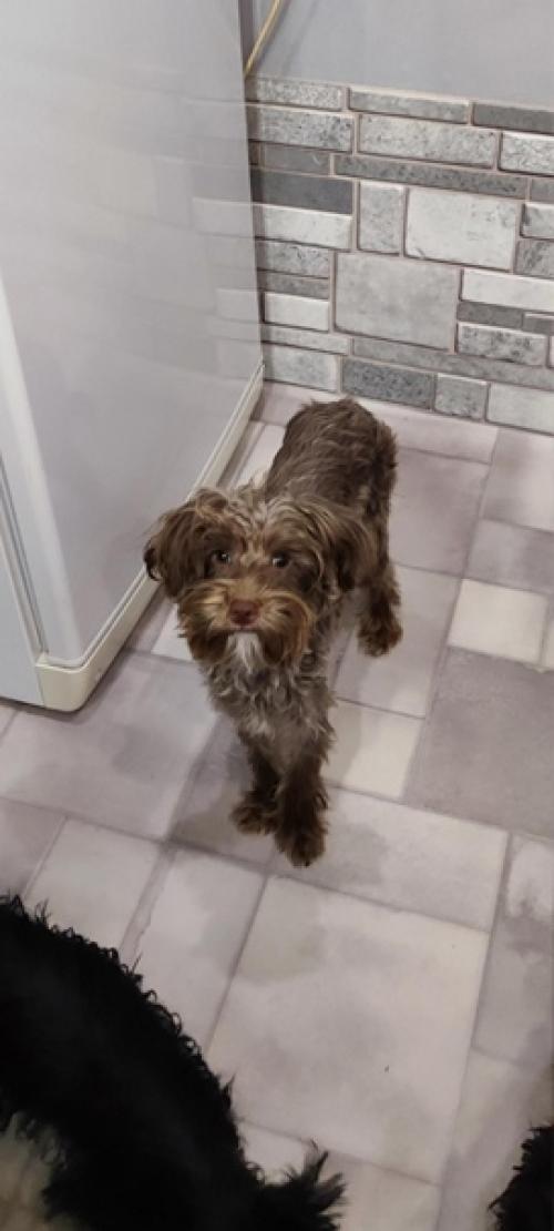 Предлагается. Королевская особа дворянских кровей. 04