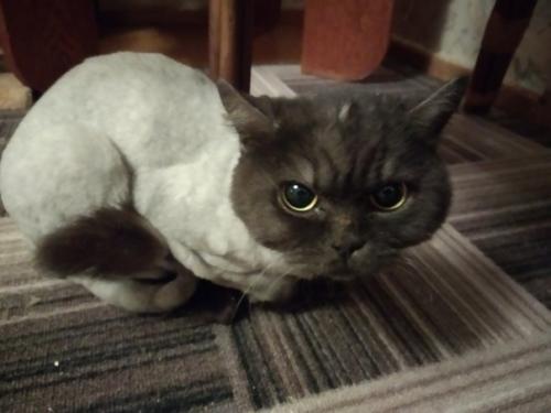 Eva Green. Добрый день всем! 01