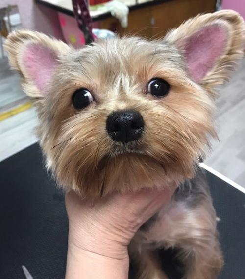 Обворожительная анабель заходила навести красоту. 01