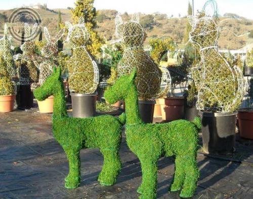 Что такое топиари. 06 Что такое топиари. 06