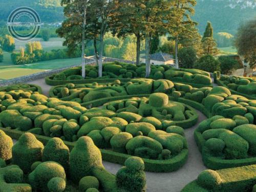 Что такое топиари. 09 Что такое топиари. 09