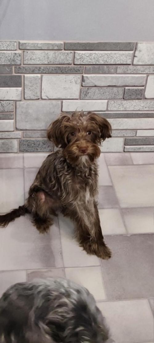 Предлагается. Королевская особа дворянских кровей. 05