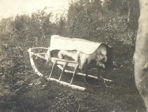 Редкие фото. Много воды утекло в Вишере с тех пор, как в наших местах появился заповедник. 08