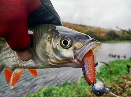 Три часа под дождем. 04