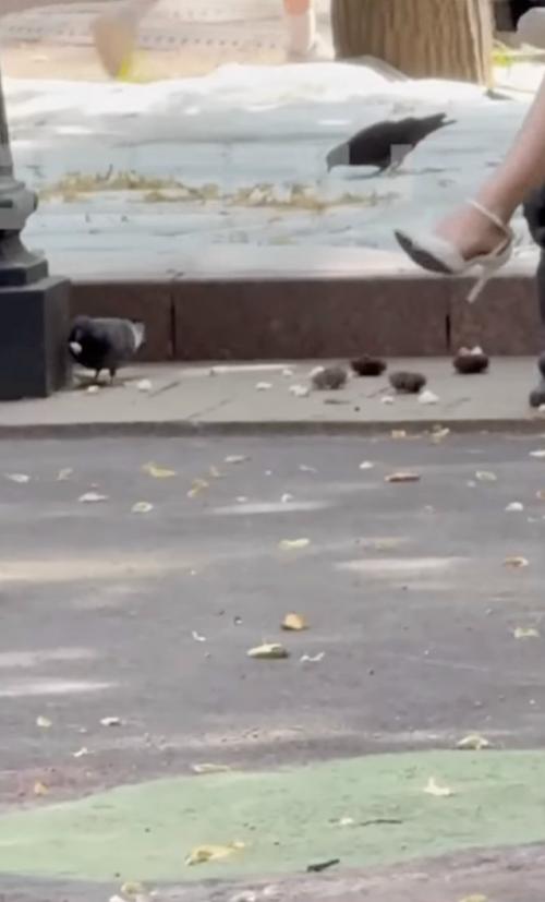 Москвичи, вы вообще уже о * уели? 01