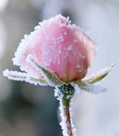 Желаю чтобы все в 2016 году спотыкались, падали и плакали. 04