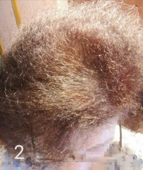 Биозавивка. Из личного опыта длиною в год. 01