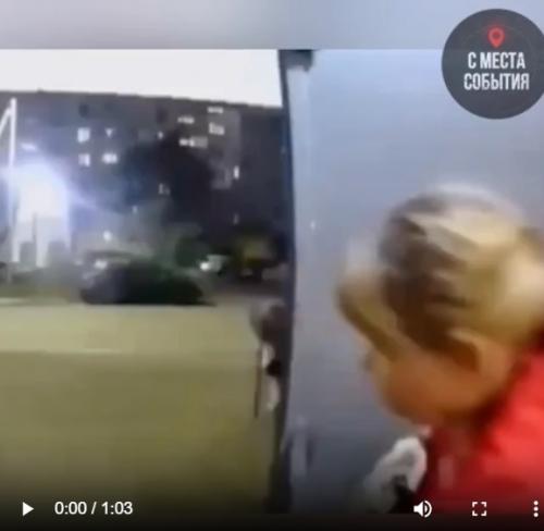 В Омске бойцовский пёс без намордника на 14-летнюю школьницу напал. 01