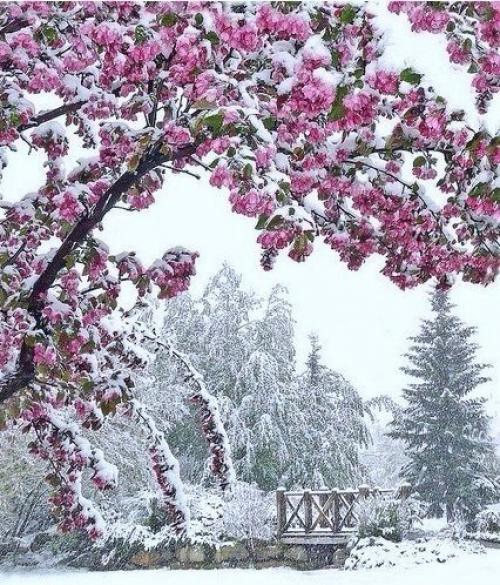 Желаю чтобы все в 2016 году спотыкались, падали и плакали. 01