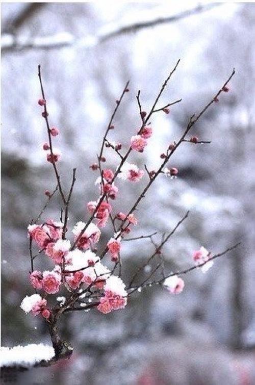 Желаю чтобы все в 2016 году спотыкались, падали и плакали. 05