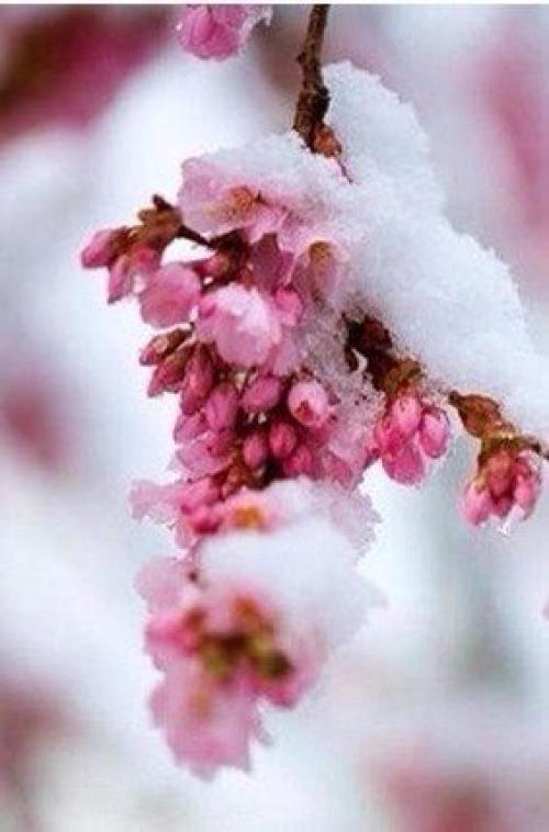 Желаю чтобы все в 2016 году спотыкались, падали и плакали. 03