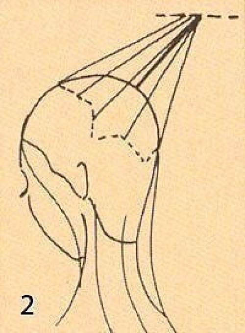 Схема женской стрижки Каскад? 02