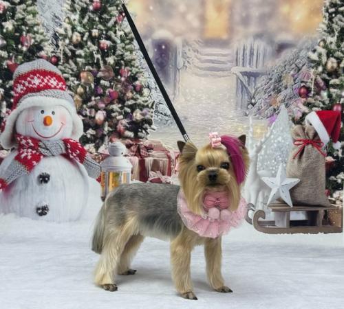 До новогоднего праздника осталось 23 дня! 04