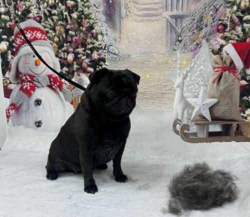 До новогоднего праздника осталось 23 дня! 02