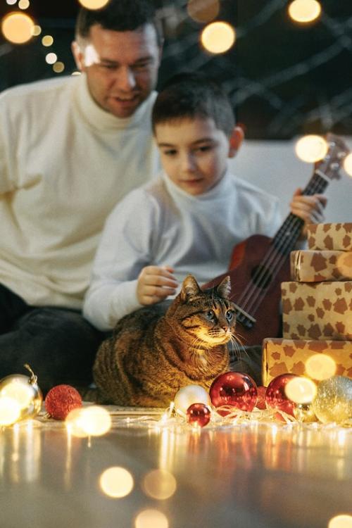 Почему стоит выбрать домашнюю фотосессию? 02