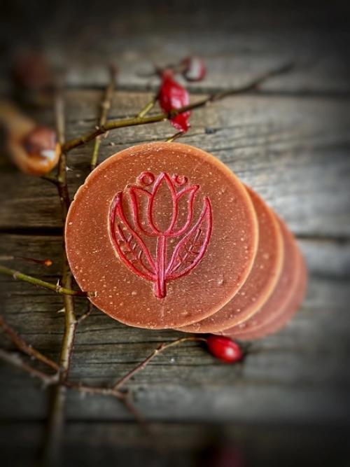 Растёт у нас на даче куст шиповника … и он - большой модник. 01 Растёт у нас на даче куст шиповника … и он - большой модник. 01