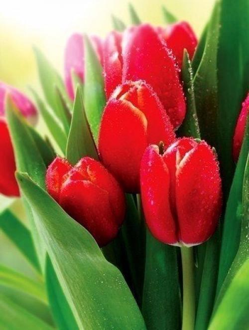 Нолан секрет финальной сцены Начало раскрыл. 05 Нолан секрет финальной сцены Начало раскрыл. 05