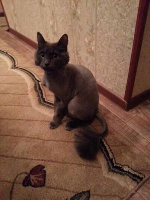 Этот красавчик дом и любящих хозяев ищет! 01 Этот красавчик дом и любящих хозяев ищет! 01