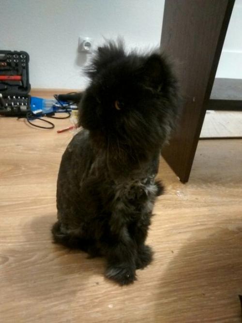 Санкт-петербург! Калининский район! 02 Санкт-петербург! Калининский район! 02