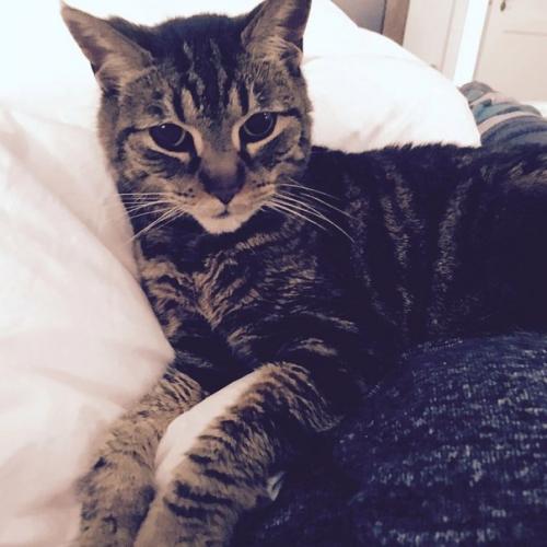 // Ninadobrev \u203a наша Нина добрев готовится к вечеринки журнала Vanity Fair. 02