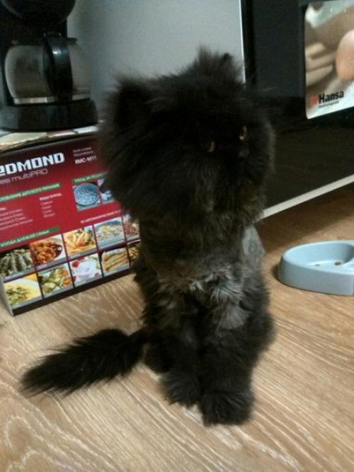 Санкт-петербург! Калининский район! 01 Санкт-петербург! Калининский район! 01