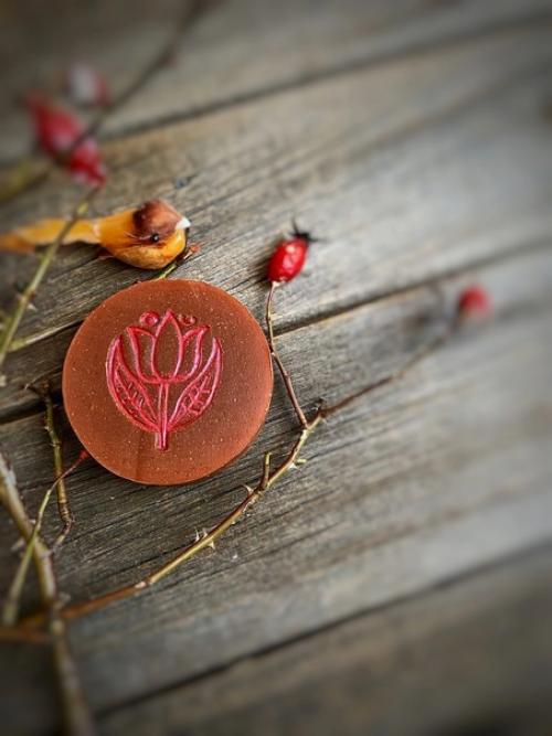 Растёт у нас на даче куст шиповника … и он - большой модник. 02 Растёт у нас на даче куст шиповника … и он - большой модник. 02