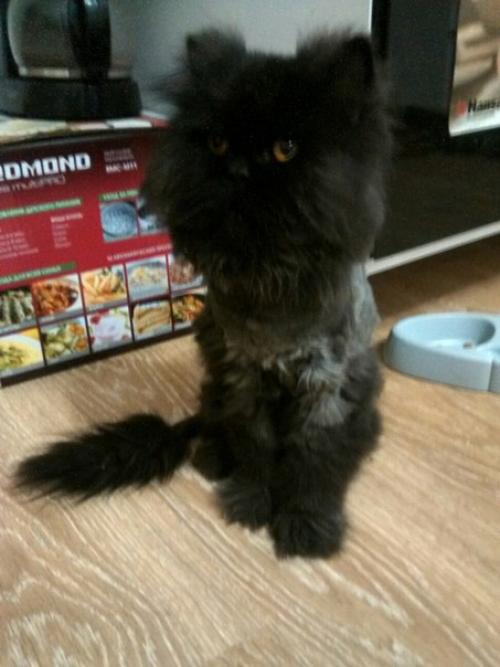 Санкт-петербург! Калининский район! 03 Санкт-петербург! Калининский район! 03