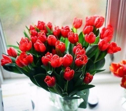 Нолан секрет финальной сцены Начало раскрыл. 01 Нолан секрет финальной сцены Начало раскрыл. 01